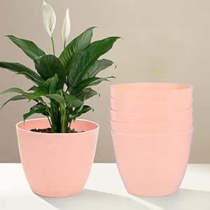 Kuber Industries Pack of 6 Flower Pot | Flower Pot for Living Room ...