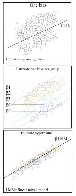 Image result for Bayesian Mixed Model