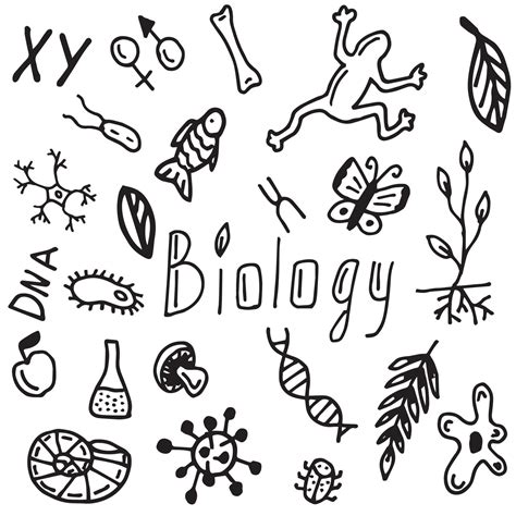 Biology Doodle Art 的图像结果