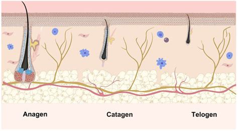 Biomolecules | August 2025 - Browse Articles