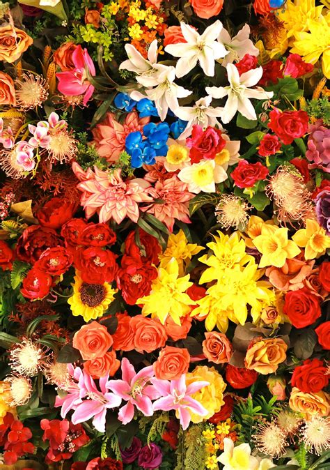 Black History in the Floral industry | Swenson and Silacci Flowers