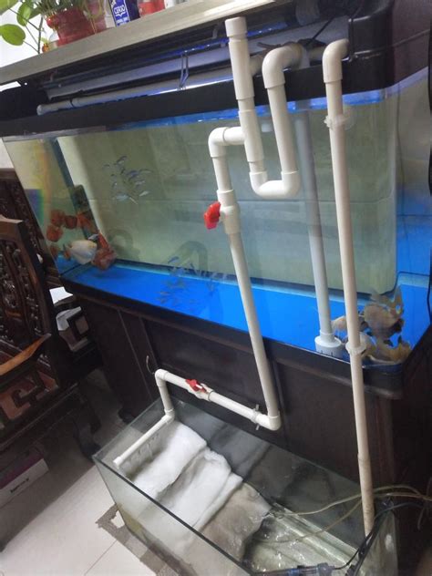 自制鱼缸虹吸水循环图,鱼缸水循环泵,无泵循环水怎么做图片_大山谷图库