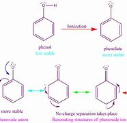 Image result for pHenol