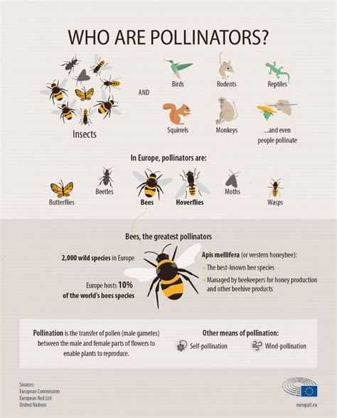 Pollination Importance 的图像结果