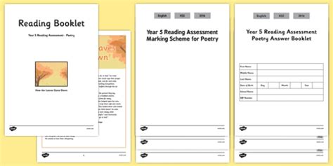 Year 5 Term 2 Poetry Reading Assessment (teacher made)