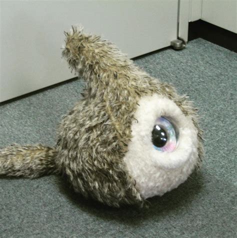 site:www.36kr.com 的图像结果