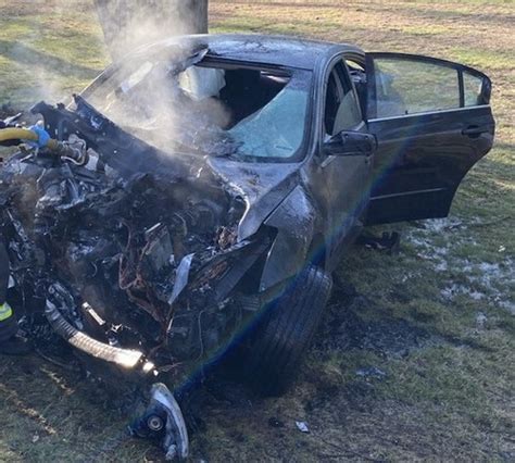 Springfield crash leaves 3 injured after car crashes into tree, catches ...