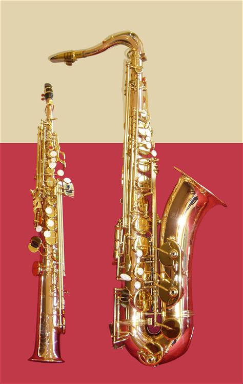 Pictures Of The Saxophone Family at Nicholas Warrior blog