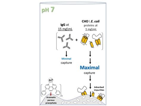 Antibodies | An Open Access Journal from MDPI