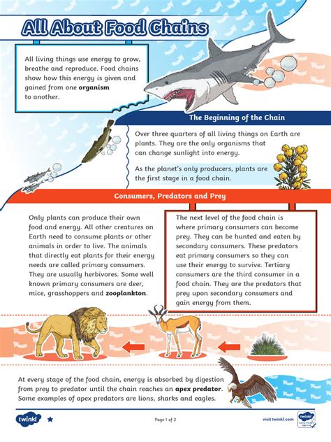 Image result for Food Web Questions