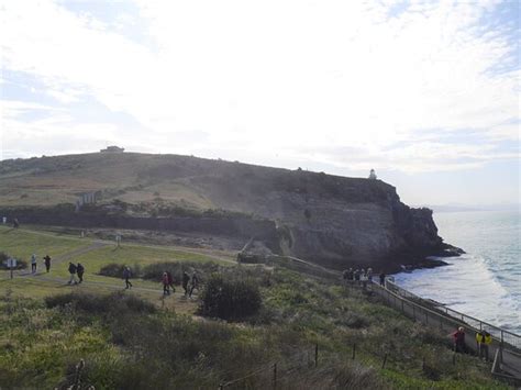 Otago Peninsula (Dunedin) - 2020 What to Know Before You Go (with ...