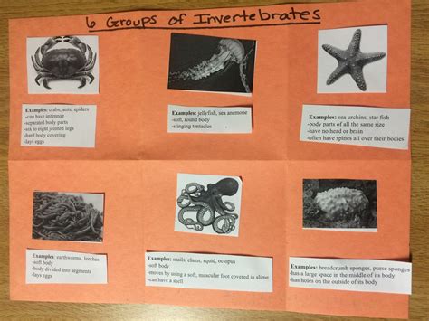 Image result for Jennifer Lesson 2