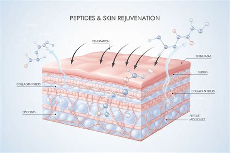 https://roomsium.com/cdn/shop/articles/what-are-peptides-in-skincare-benefits-types-how-they-work.png?v=1770347842&width=1100