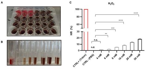 Synergistic Effects of a Novel Combination of Natural Compounds Prevent ...