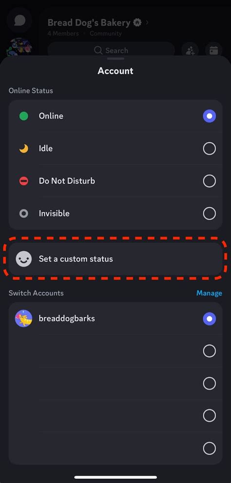 Image result for How to Set Custom Status Discord Bot