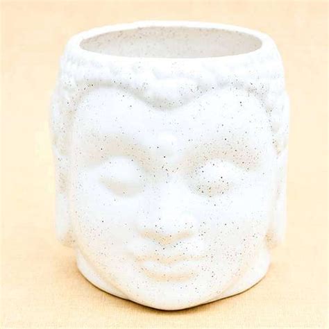 Buy Ceramic Planters online from Nurserylive at lowest price.