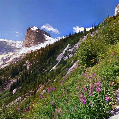 Google Photography Tutorial 的图像结果