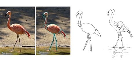 Image result for How to Draw Basic Shapes