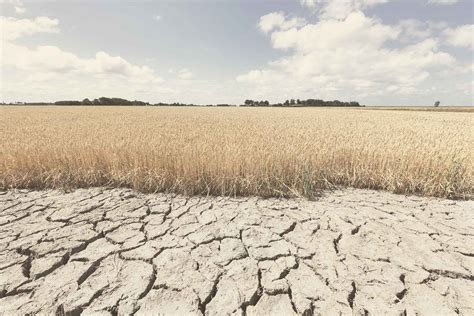 Agriculture Global Warming 的图像结果