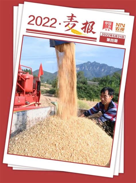 河南麦收新图景丨驻马店1168.3万亩小麦丰收在望_腾讯新闻