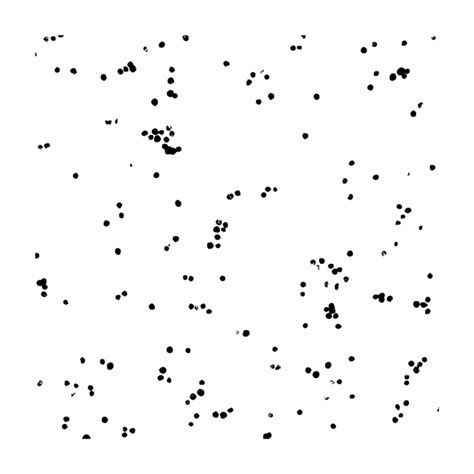 ImageJ Colocalization Analysis 的图像结果