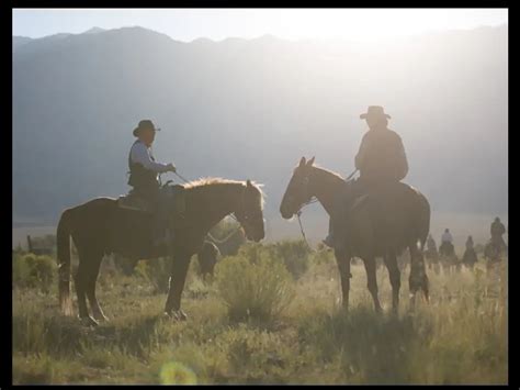 Tantalising Texas—travel inside a cowboy's dream - The Economic Times