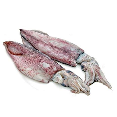 Buy Fresh Catch - BTM Fish - Squid 500 gm (Cleaned) Online at Best ...