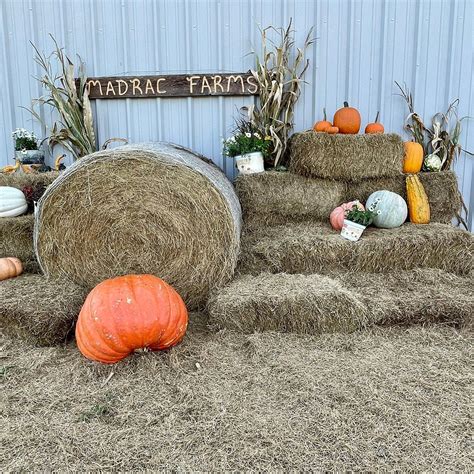 MADRAC FARMS (2026) All You Need to Know BEFORE You Go (with Photos ...