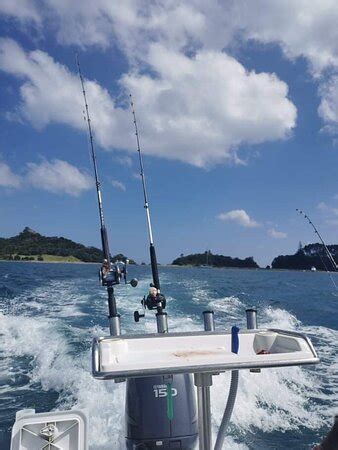 Hananui Fishing Charters (Russell) - 2021 What to Know Before You Go ...