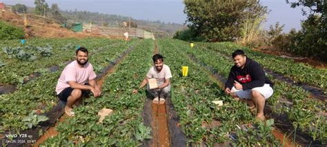 Running since British rule, this 3rd-gen Mahabaleshwar farm produces 25 ...