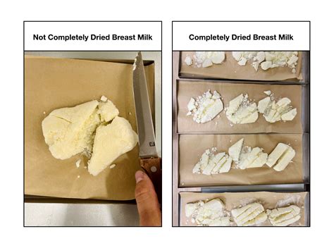 Freeze Drying Breast Milk: Preserving Liquid Gold