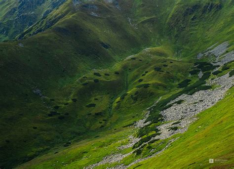 Adventure Landscape 的图像结果