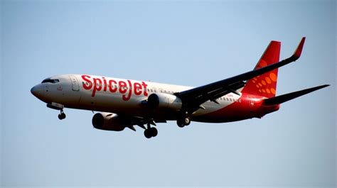 Image result for SpiceJet India