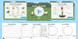 KS2 Field To Fork Resource Pack