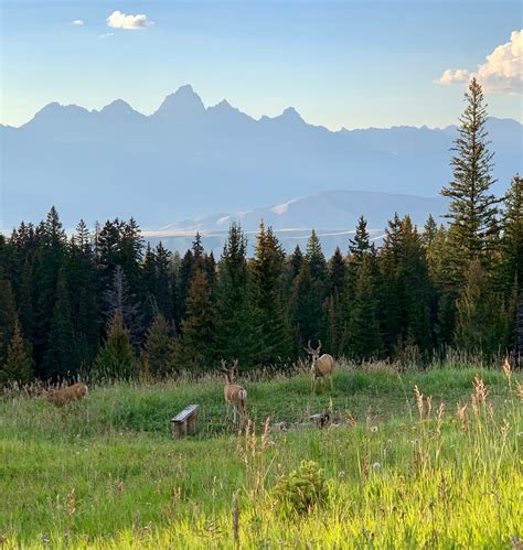 Free Camping Near Jackson Hole - Jackson Hole Traveler