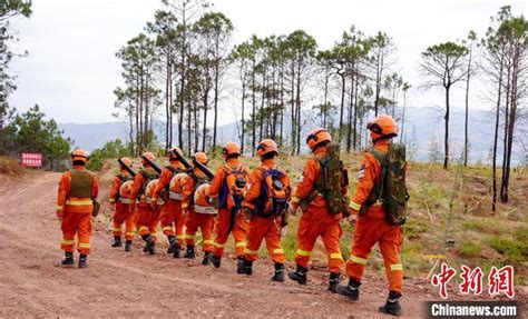 佛山：高明森林山火已全部扑灭 共出动834名消防员_广东频道_凤凰网