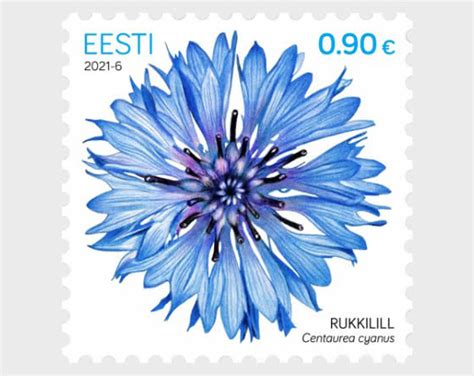 National Flower of Estonia – Cornflower Stamp 2021 – Stamp Digest