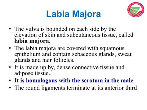 Anatomy and physiology of female reproductive system | PPTX