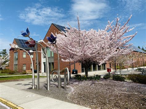 Western once again receives Tree Campus Higher Education recognition ...