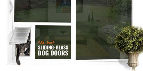 7 Best Sliding Glass Dog Doors – Reviews, Safety, Insulation & FAQ
