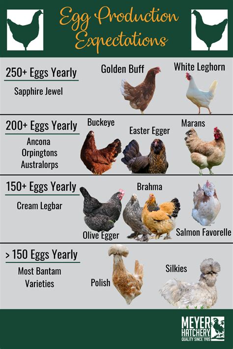Image result for Chicken Fried Tutorial