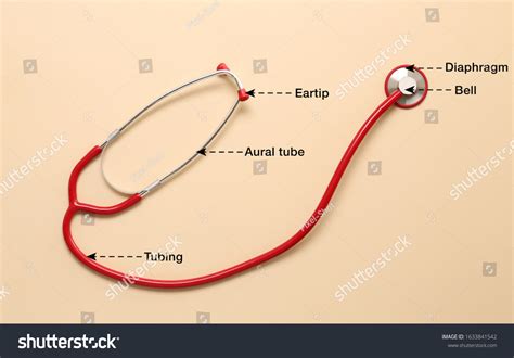 Stethoscope Ke Parts Name at Wilma Scanlon blog