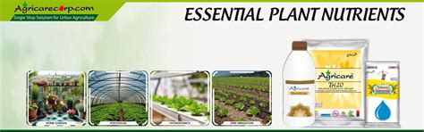 Best Quality Organic Fertilizer | Agricare Corporation Noida