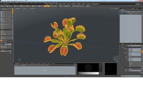 Venus Flytrap Dionaea Muscipula Plant 3D | 3D Molier International