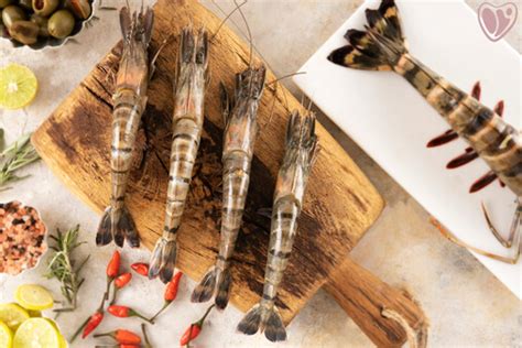 Order Prawn / Eral Online