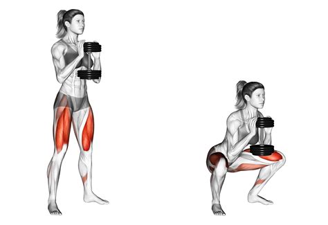 6 Best Dumbbell Squat Variations (with Pictures!) - Inspire US