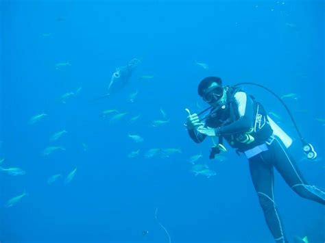 NUSA PENIDA WATERSPORT (2026) All You Need to Know BEFORE You Go (with ...