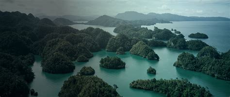 Sustainable Investors Fund – Capricorn Investment Group