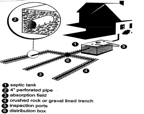 Image result for Basic Septic System Layout
