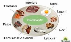 vitamina b in quali alimenti la vitamina b 12 pericoli della carenza gastrite vitamina b in quali alimenti la vitamina b 12 pericoli della carenza gastrite